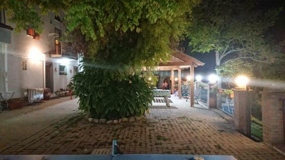Villa La Quiete Montenero di Bisaccia Exterior foto